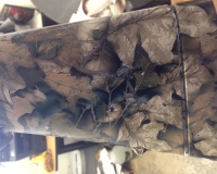 Hydrographics - Duraleigh Auto Center - image #6